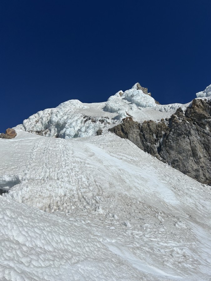 IMG_7665 IMG_7665