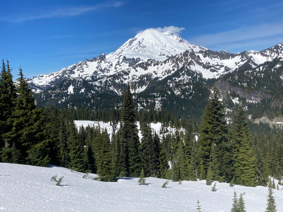 ranier ranier