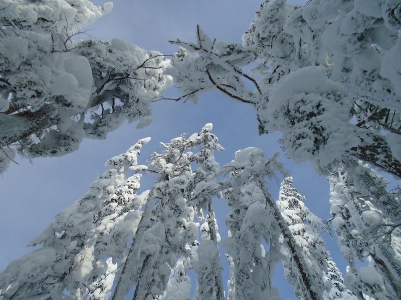 catherine ski tour1