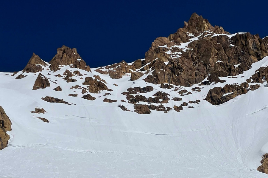 IMG_2564_crop IMG_2564_crop