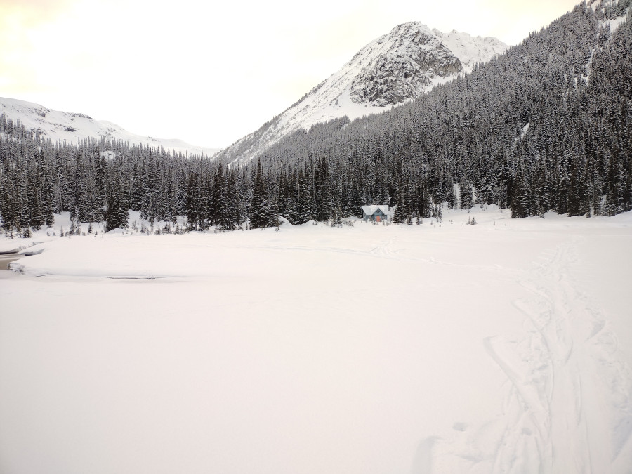 IMG_20240205_164153163_HDR-1 IMG_20240205_164153163_HDR-1
