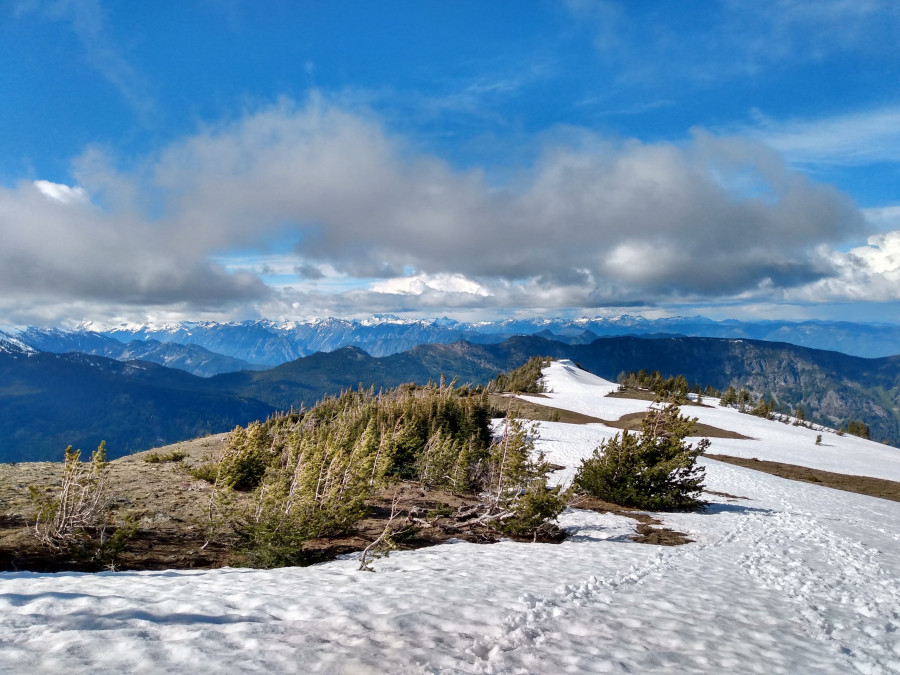 IMG_20200606_172818482_HDR