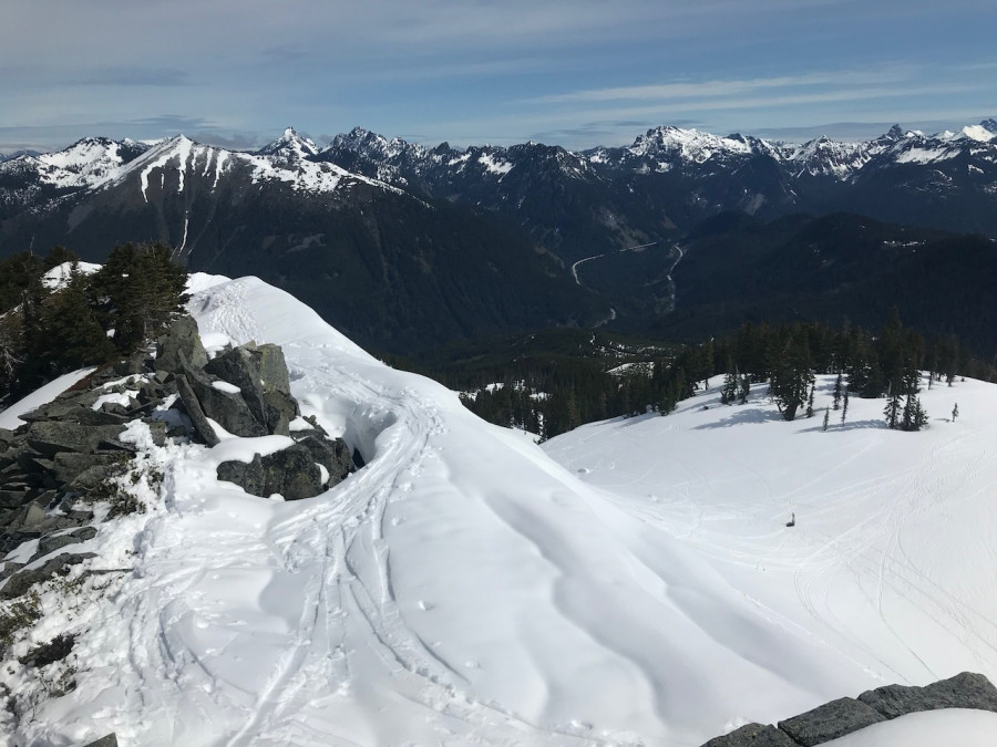 IMG_0842 IMG_0842