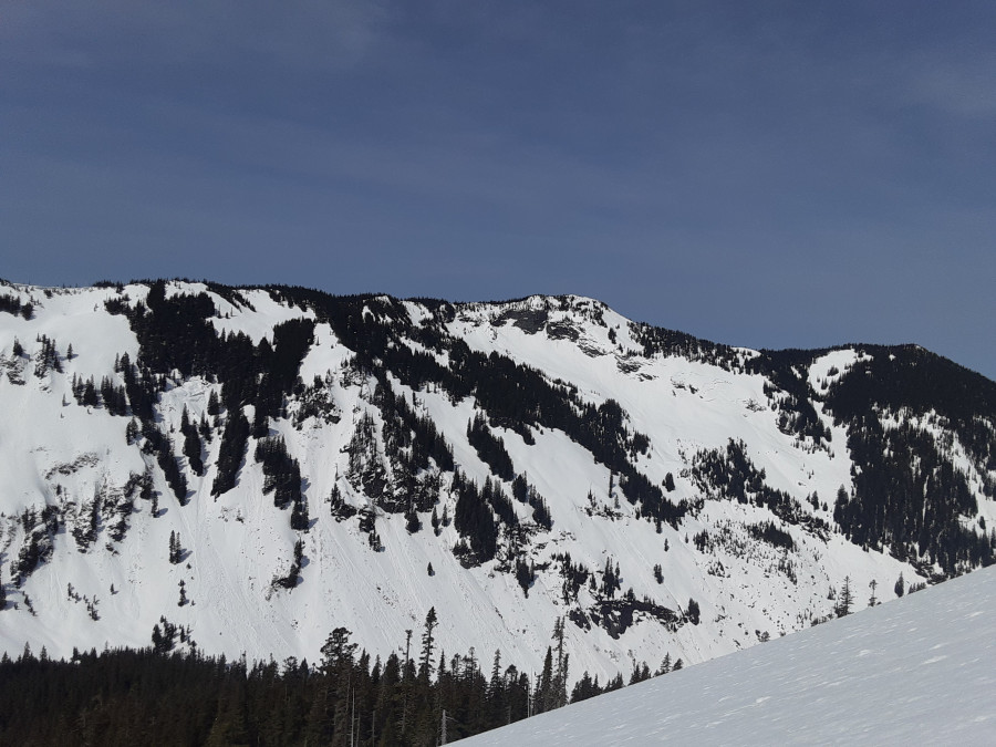 20220424_113922-Humpback-Ridge-East-Facing-Slope 20220424_113922-Humpback-Ridge-East-Facing-Slope
