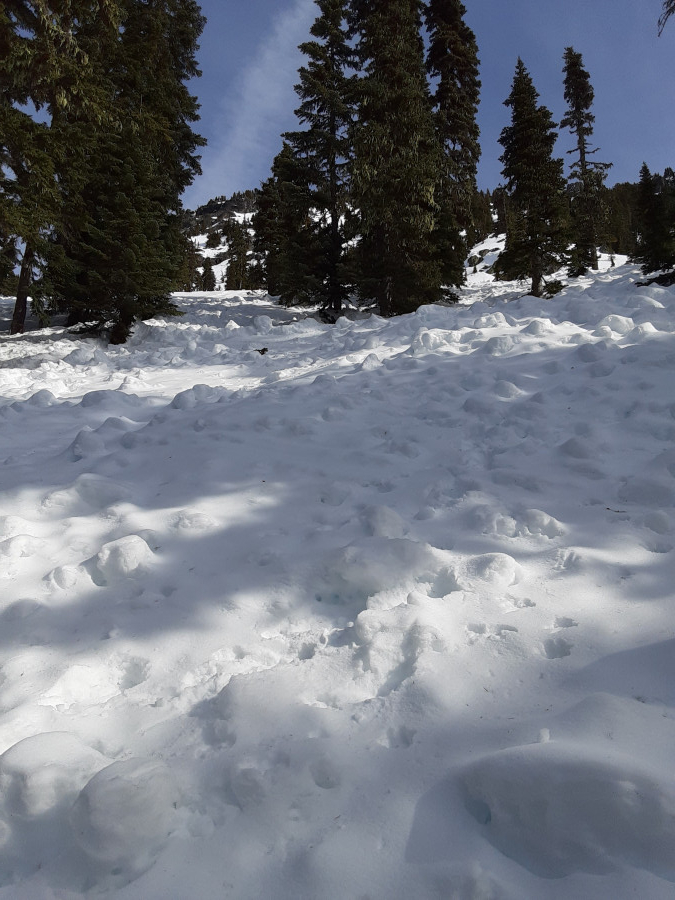 Avvy-Debris-South-Face-Snoqualmie-mt-20220312_100451