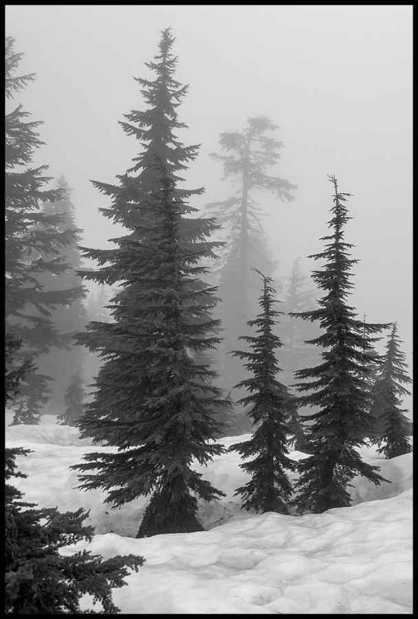 Pilchuck-61522-08 Pilchuck-61522-08