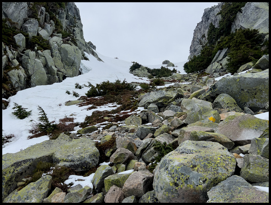 Pilchuck-61522-80 Pilchuck-61522-80