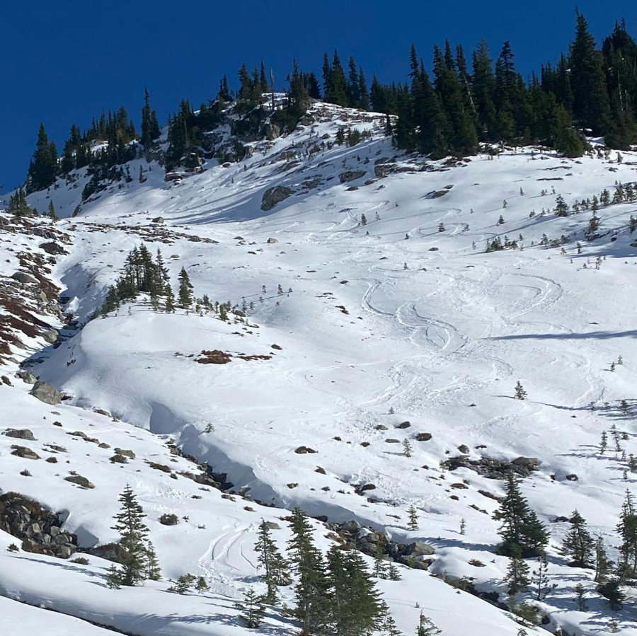 backside-turns backside-turns