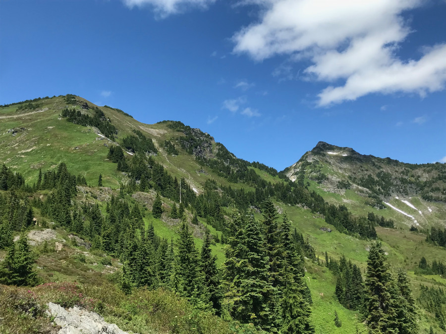 03-the-col 03-the-col