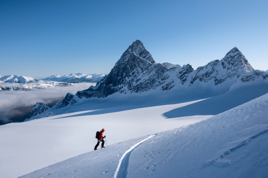 SirAvalanche
