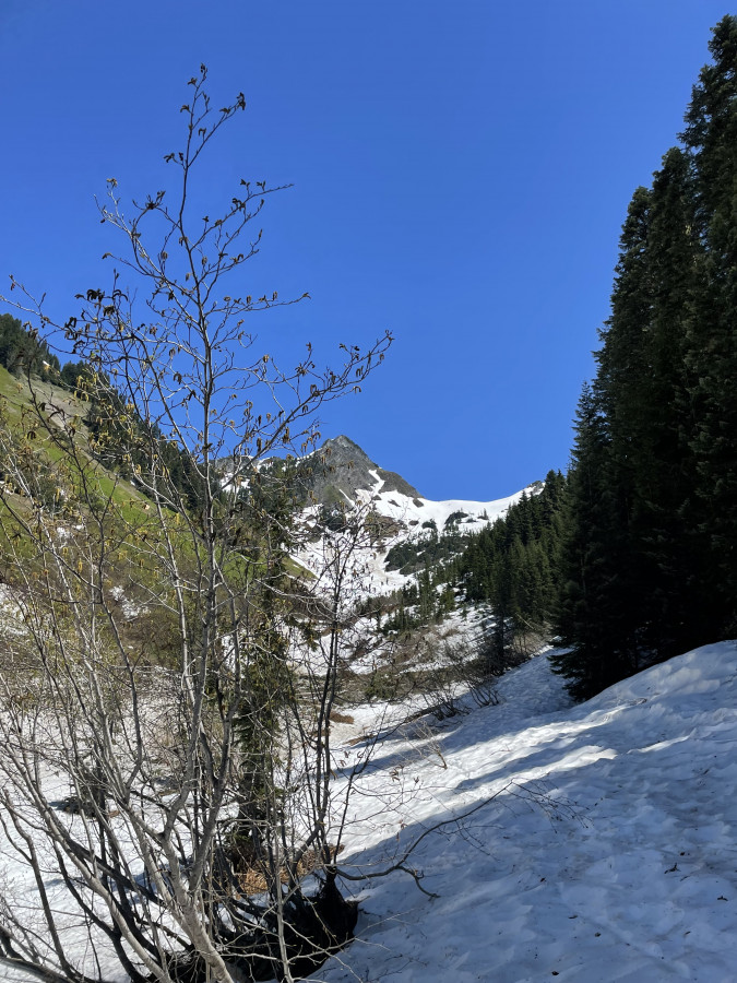 hike-ends1