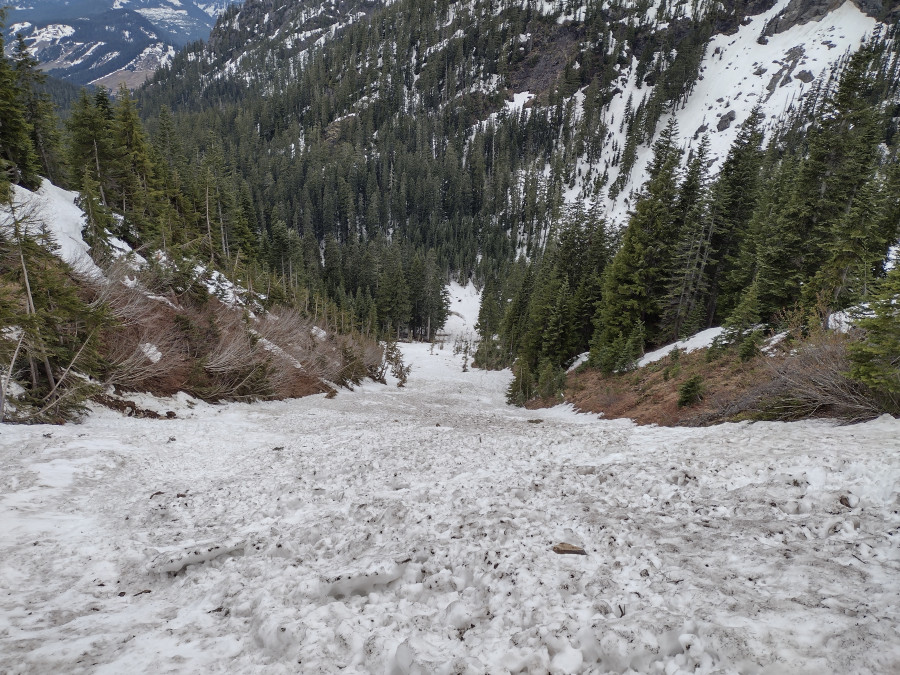Chute-into-Commonwealth Chute-into-Commonwealth