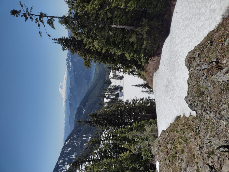 IMG_20220626_141038077_HDR
