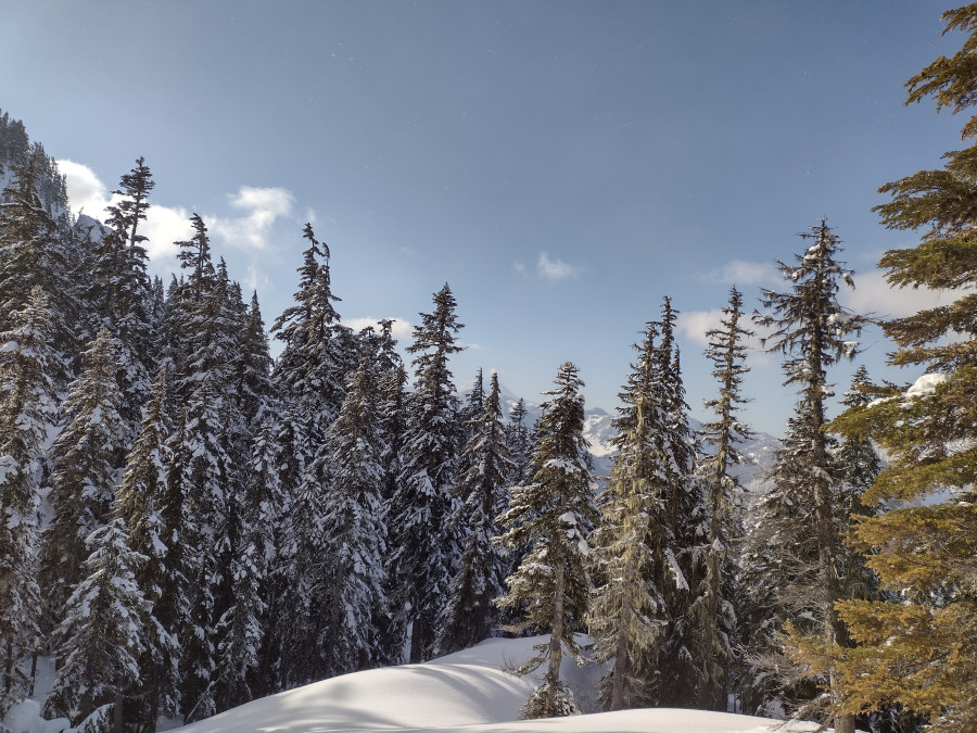 cave-ridge cave-ridge