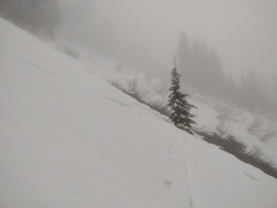 mcclellan-slopes mcclellan-slopes